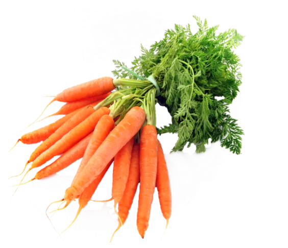 Carrot