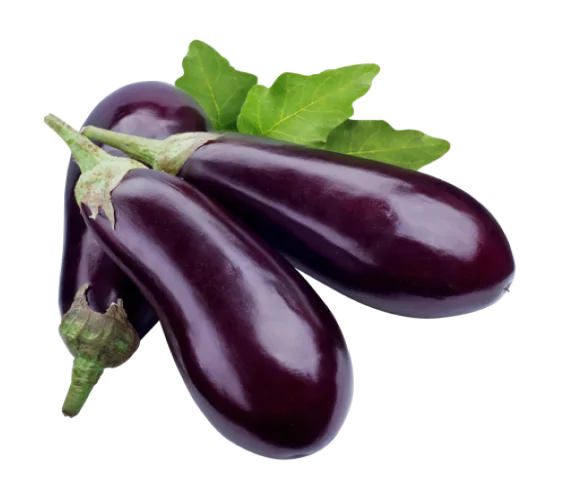 Eggplant