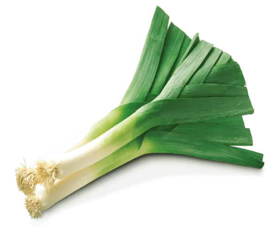 Leek