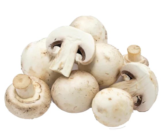 Mushrooms